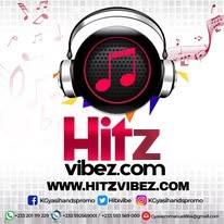 Hitzvibez