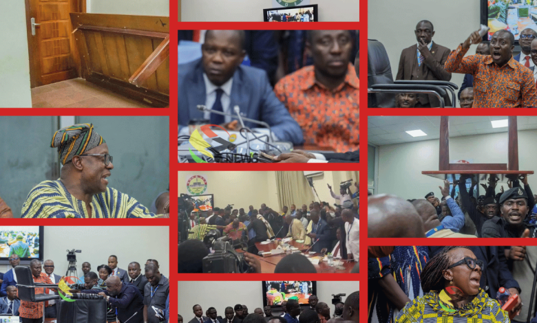 In Chaos Again—As our lawmakers become brawlers, Ghana’s parliament is a collective shame