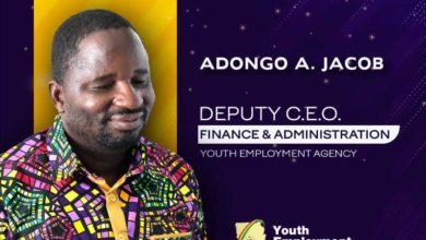 President Mahama appoints Adongo Atule Jacob as YEA Deputy CEO