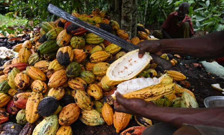 COCOBOD denies Cocoa price increase for farmers