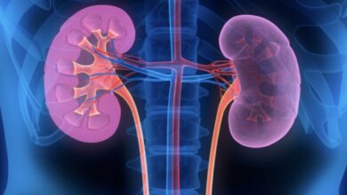 West Africans have a high risk of kidney disease – new study confirms genetic cause