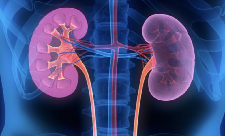 West Africans have a high risk of kidney disease – new study confirms genetic cause