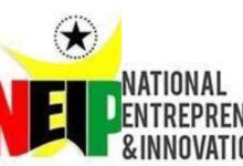 NEIP temporarily suspends staff due to employment and legal Issues