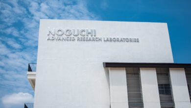 Noguchi Memorial Institute achieves ISO 15189:2022 accreditation