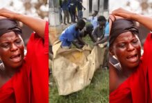 Sad! Video of the remains of the mother who was murdered by her son over 4kg cashew surfaces