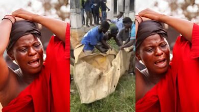 Sad! Video of the remains of the mother who was murdered by her son over 4kg cashew surfaces