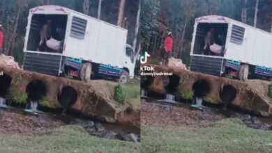 Video of traders washing bags of carrots in the gutter before sending them to the market surfaces