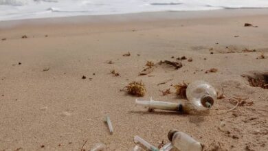 Stakeholders alarmed over medical waste washed ashore at Ngelekazo