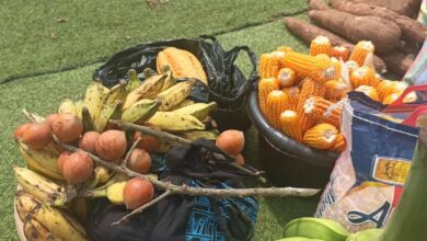 Akwapem North MP launches ‘Ofie Market’ to curb post-harvest losses