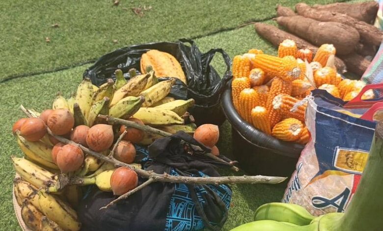 Akwapem North MP launches ‘Ofie Market’ to curb post-harvest losses