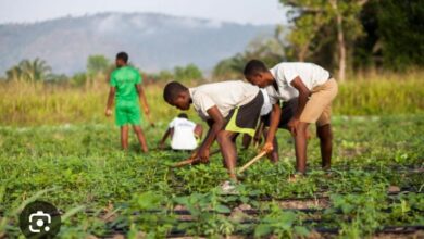 Agric Minister urges SHS authorities to establish school farms to supplement food supplies