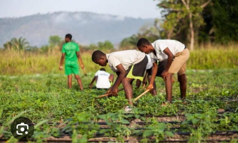 Agric Minister urges SHS authorities to establish school farms to supplement food supplies