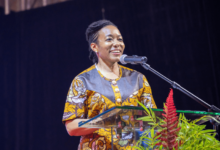 Zanetor Rawlings calls for equity among democratic states at Munich Security Conference