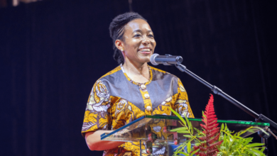 Zanetor Rawlings calls for equity among democratic states at Munich Security Conference