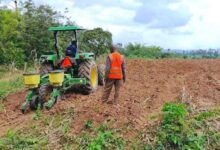 Agric Minister urges churches to venture into farming