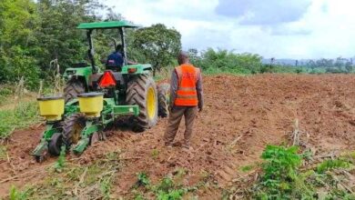 Agric Minister urges churches to venture into farming