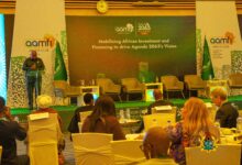 Mahama envisions an Africa that is integrated, prosperous and peaceful