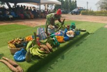 Ofie Market launched to reduce post harvest losses in Akwapem North District