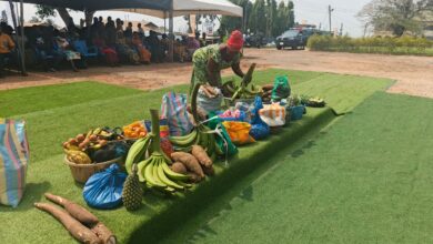 Ofie Market launched to reduce post harvest losses in Akwapem North District