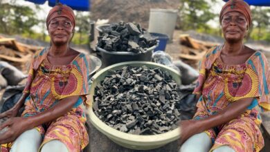 I Make 180 Million Every Month From Selling Charcoal- Woman Shares Inspiring Story