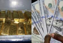 National Security seizes stash of US dollars, gold bars, and counterfeit currency in warehouse bust
