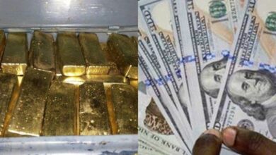 National Security seizes stash of US dollars, gold bars, and counterfeit currency in warehouse bust