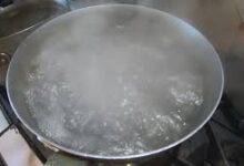 Policewoman who poured boiling water on colleague interdicted