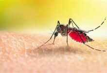 Ghana achieves 97% reduction in malaria deaths, sets new goals for elimination