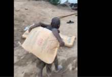 Video of 10-year-old carrying cement bags causes uproar