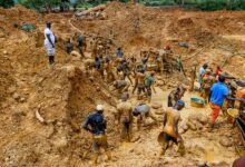 Govt adopts deportation policy for foreigners involved in galamsey, cyber fraud