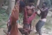 Police launch investigation into viral assault video