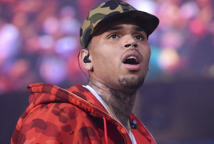 Chris Brown reportedly arrested