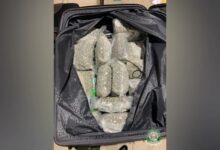 NACOC intercepts cannabis trafficking attempts at Kotoka Airport
