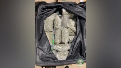 NACOC intercepts cannabis trafficking attempts at Kotoka Airport