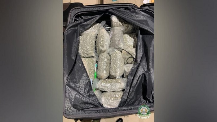 NACOC intercepts cannabis trafficking attempts at Kotoka Airport