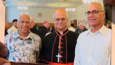 Pope Leo XIV Siblings