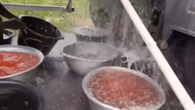 Residents rush to collect leaking fuel from tanker despite explosion risk