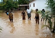 Building permits and planning are supposed to be handled by assemblies — Expert