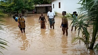Building permits and planning are supposed to be handled by assemblies — Expert