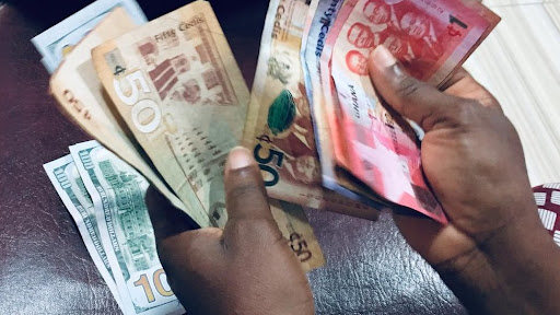 The Debate on the Recent Strength of the Ghana Cedis Against the US Dollar: A Macroeconomics Perspective.