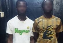 Two arrested in Walewale for stealing a pistol from immigration officer