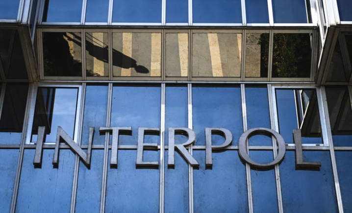 INTERPOL uncovers 150 stolen cars trafficked from Canada to Ghana