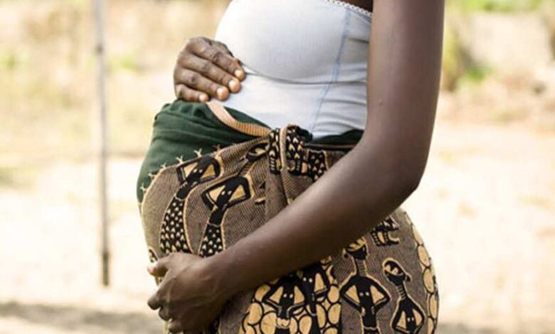 Pregnant women in Kumasi face higher risk of toxoplasmosis from cats – KNUST study