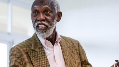 stephen adei