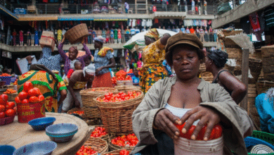 Traders don’t trust the current situation – KNUST lecturer explains price standoff