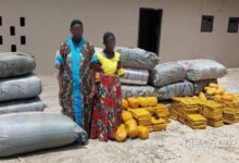 Police intercept 24 bags of suspected Indian hemp in intelligence-led operation