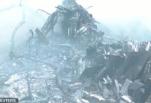Air India flight to London crashes in Ahmedabad with 242 people on board