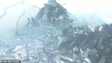 Air India flight to London crashes in Ahmedabad with 242 people on board