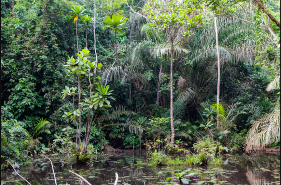 Top 10 hidden tourist sites in Ghana you probably didn't know existed