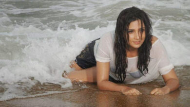 Subhashree Ganguly Leaked Video